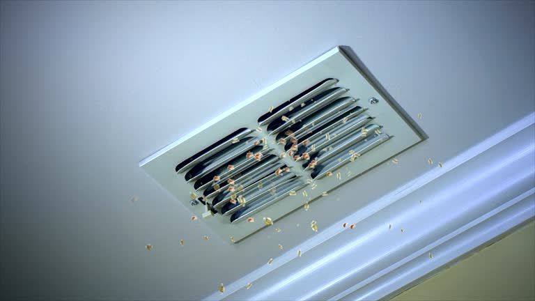 Best Best Air Duct Cleaning Company  in Ridgetop, TN